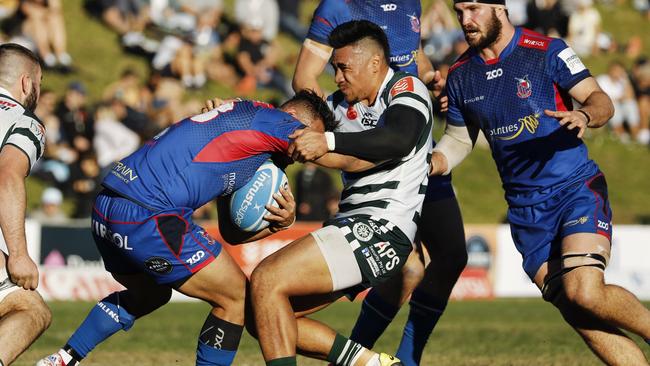 The negotiations over Shute Shield broadcast rights have dragged on. Picture: Karen Watson