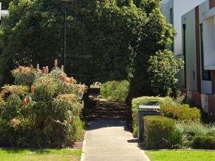 Juliet Road walkway entrance in Coolbellup, WA. Picture: Google Maps.