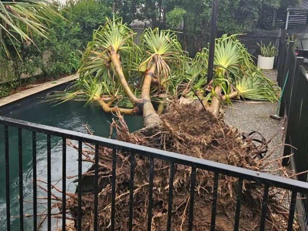 Cyclone Alfred hits Brisbane. Picture: James Wainwright, Narangba