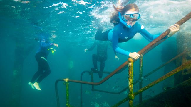 Snorkelling in one of SA’s marine parks.