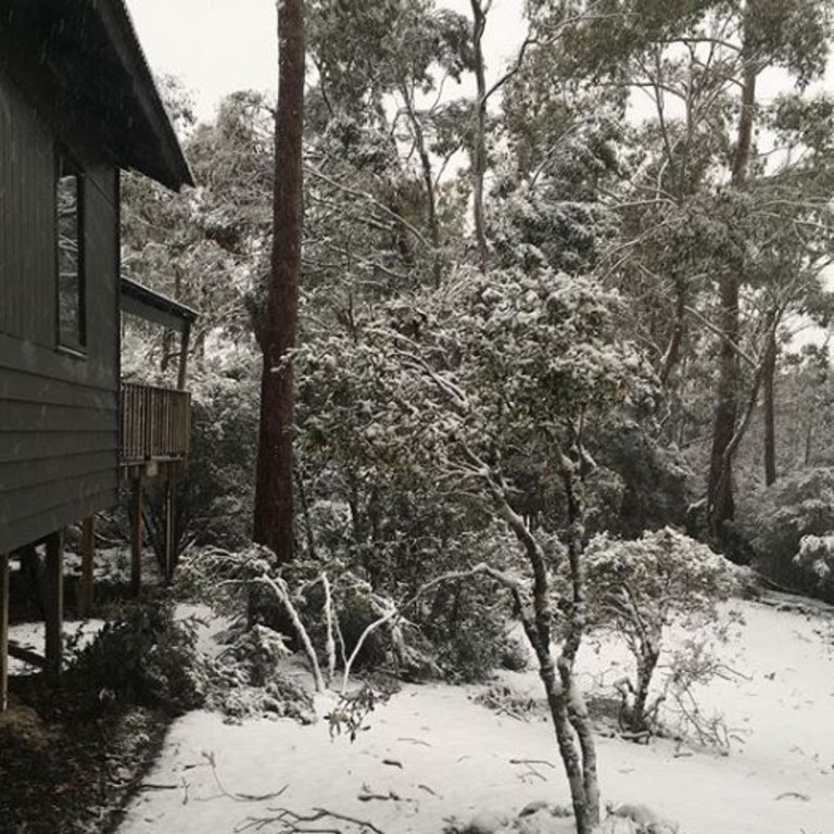 Snow in Cradle Mountain. Picture: @bonneyimages