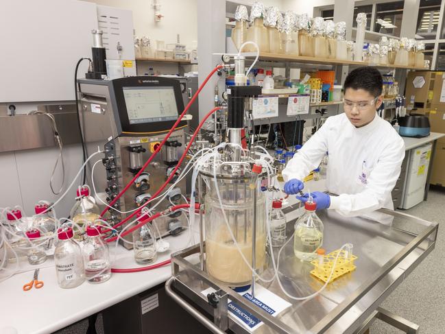 A UQ researcher using a bioreactor, one of the key pieces of equipment in establishing a vaccine candidate. Picture: UQ/Glenn Hunt