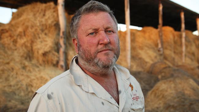 The hay pictured behind Ben Storer is worth hundreds of thousands of dollars and will have to be destroyed because it was infested with mice. Picture: David Swift