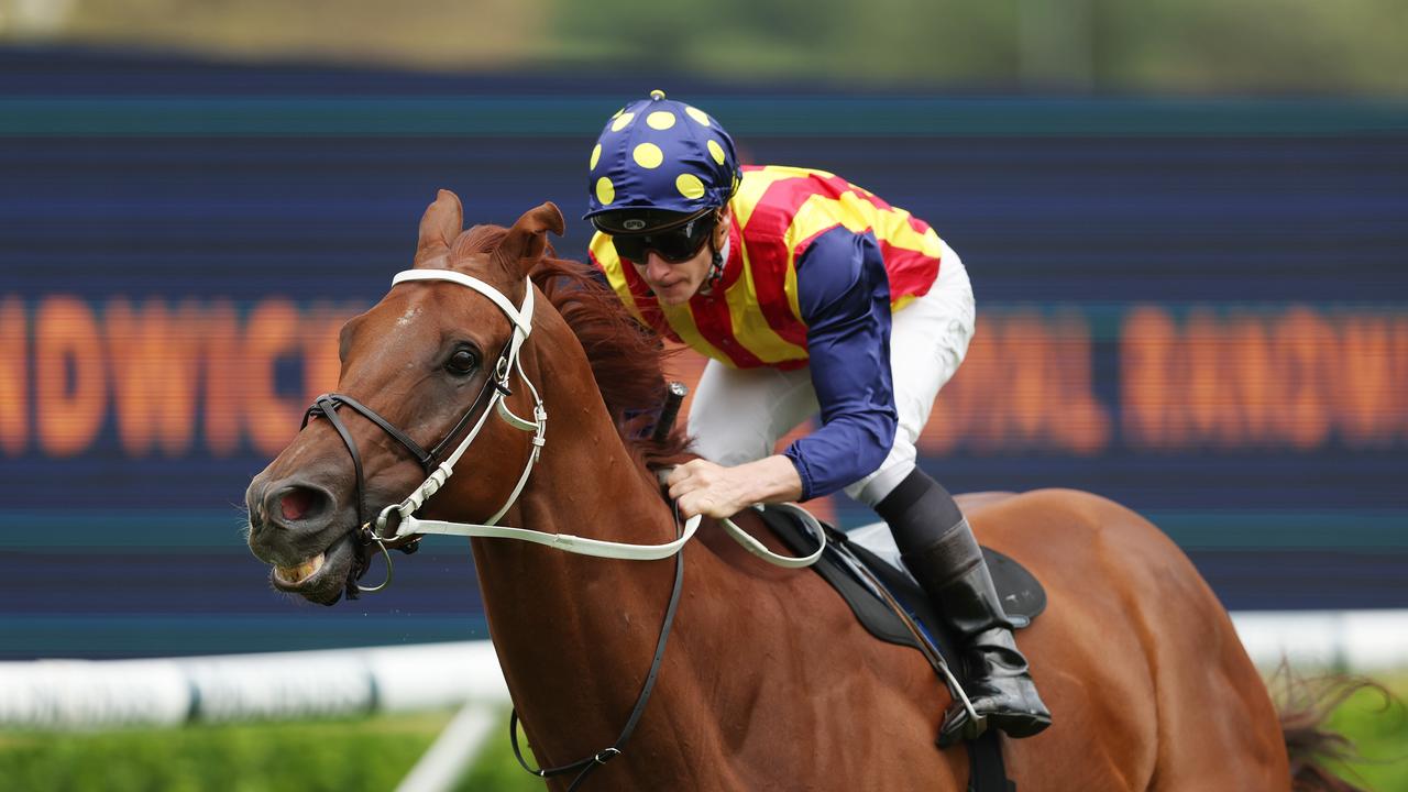 James McDonald rides Nature Strip during an exhibition gallop at Royal Randwick.