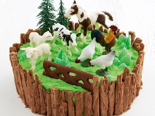 This farmyard cake is a winner. Picture: Supplied