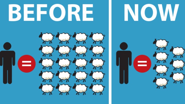 new zealand sheep vs human population