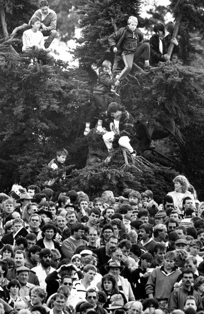 Fans climbed trees for a better view at Kardinia Park in 1988.