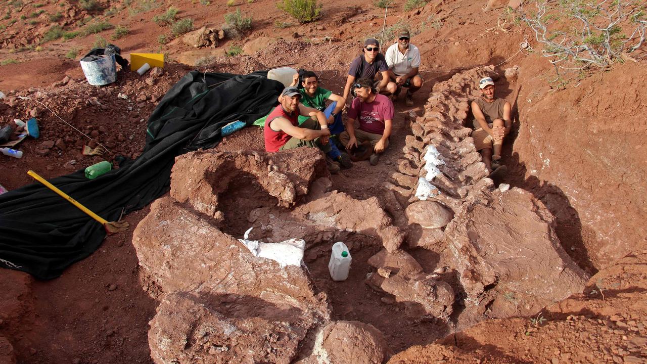 Palaeontologists during an excavation in which 98 million-year-old fossils were found at the Candeleros Formation in the Neuquen River Valley in southwest Argentina. Picture: AFP/CTyS-UNLaM/Jose Luis Carballido