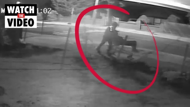 Killer Norden Wilio shopping trolley act