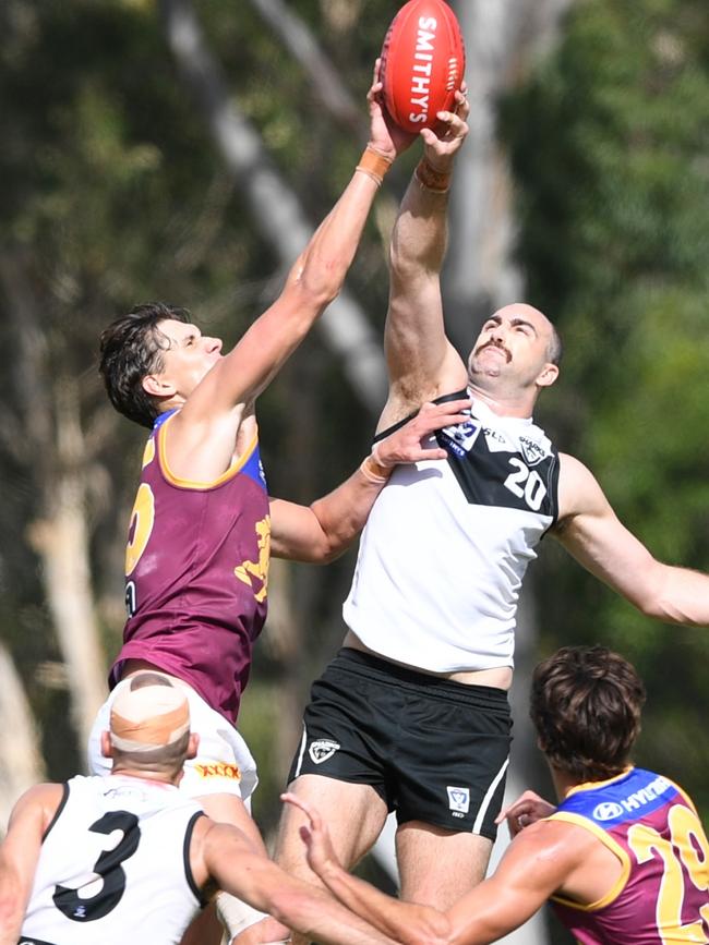 Southport Sharks player Brayden Crossley flying high in a ruck contest. Picture: Highflyer Images.