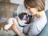 The breaking point prompting people to get pets put down