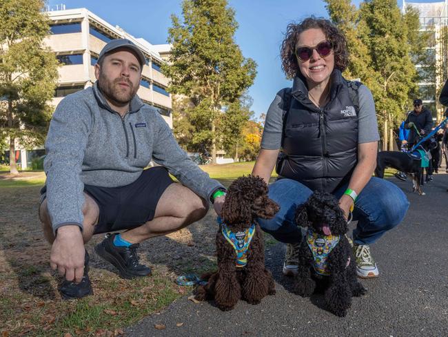 RSPCA SA's Million Paws Walk in Adelaide on May 25, 2025. Picture: Ben Clark