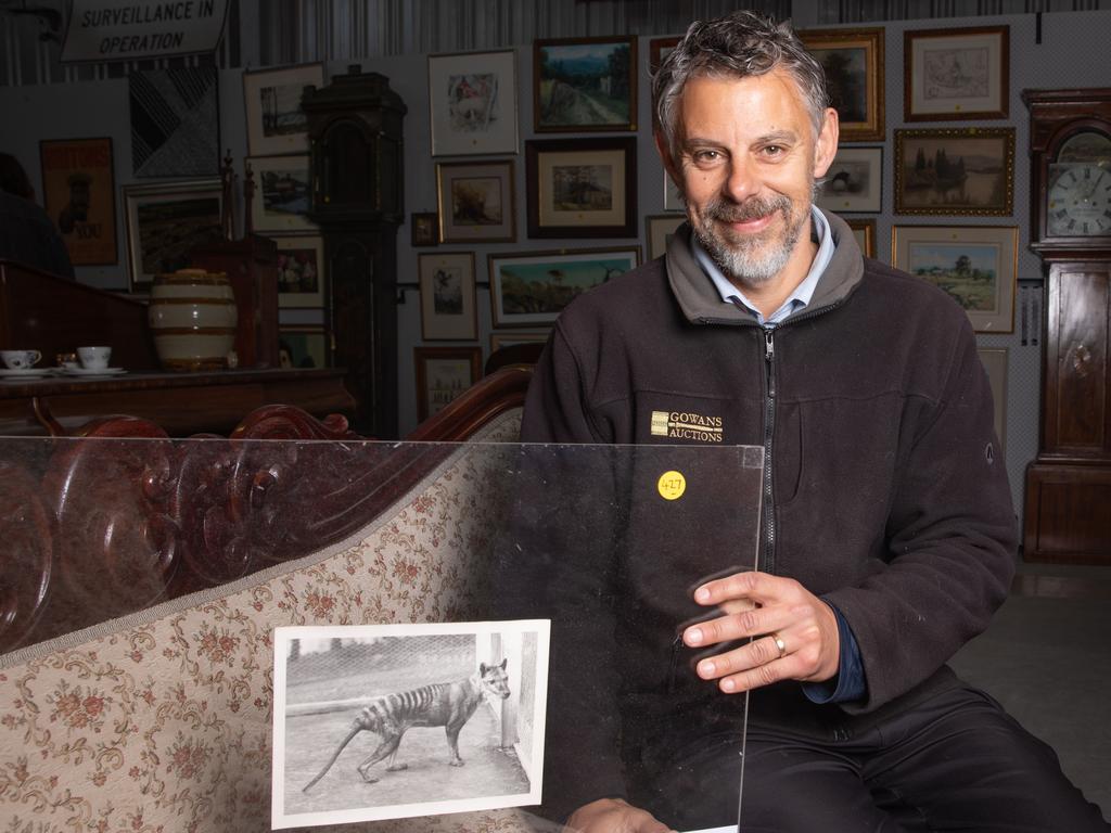 Gowans Auction House Co-Owner and Auctioneer Tim Burt with a print of a Thylacine from the original photographer. Picture: Linda Higginson