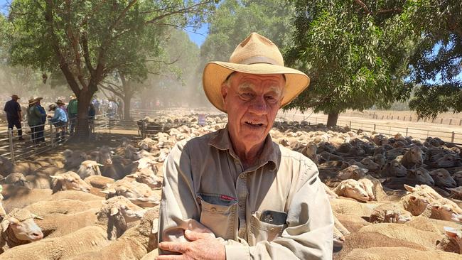 Tomcat Carroll at the Deniliquin sheep sale. Picture: Jenny Kelly