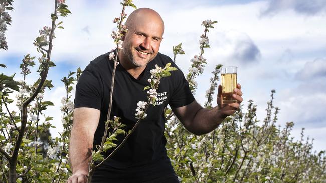 Guy Robertson of Mount Gnomon Farm samples a cider in his blossoming apple orchard at Penguin. PICTURE CHRIS KIDD