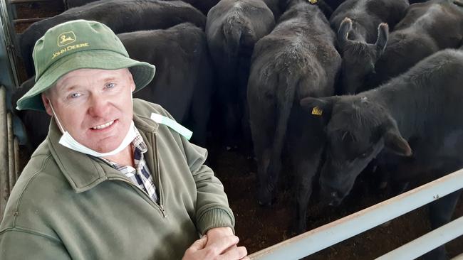 Richard Wall, Lynfield at Caniambo, with the family’s line of spring calving PTIC cows and heifers which all sold above $3000 per head to a top of $3350 for heavy six-year-old females that weighed over 750kg. Picture: Jenny Kelly