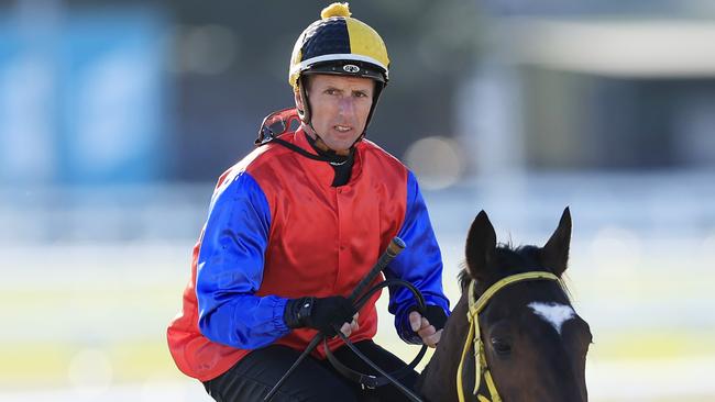 Nash Rawiller can land a race to race double with Air Of Alsace and Auspicious Cloud. Picture: Getty Images