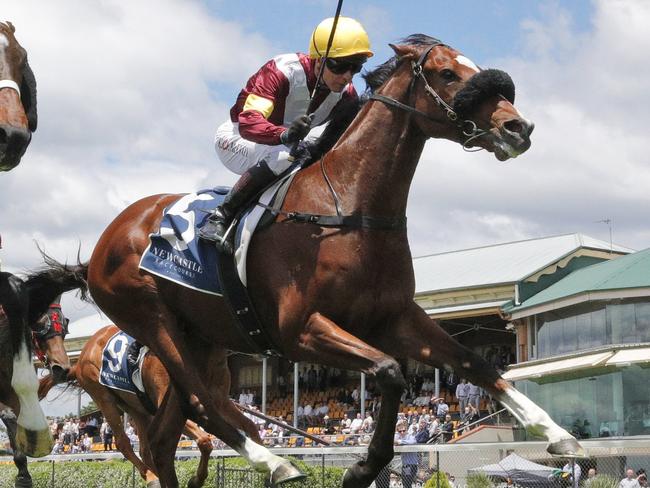 NEWCASTLE, AUSTRALIA - NOVEMBER 13: Kerrin McEvoy on Huetor wins race 2 the Te Akau NZ-Australia-Singapore Benchmark 78 Handicap during Sydney Racing at Newcastle Racecourse on November 13, 2021 in Newcastle, Australia. (Photo by Mark Evans/Getty Images)