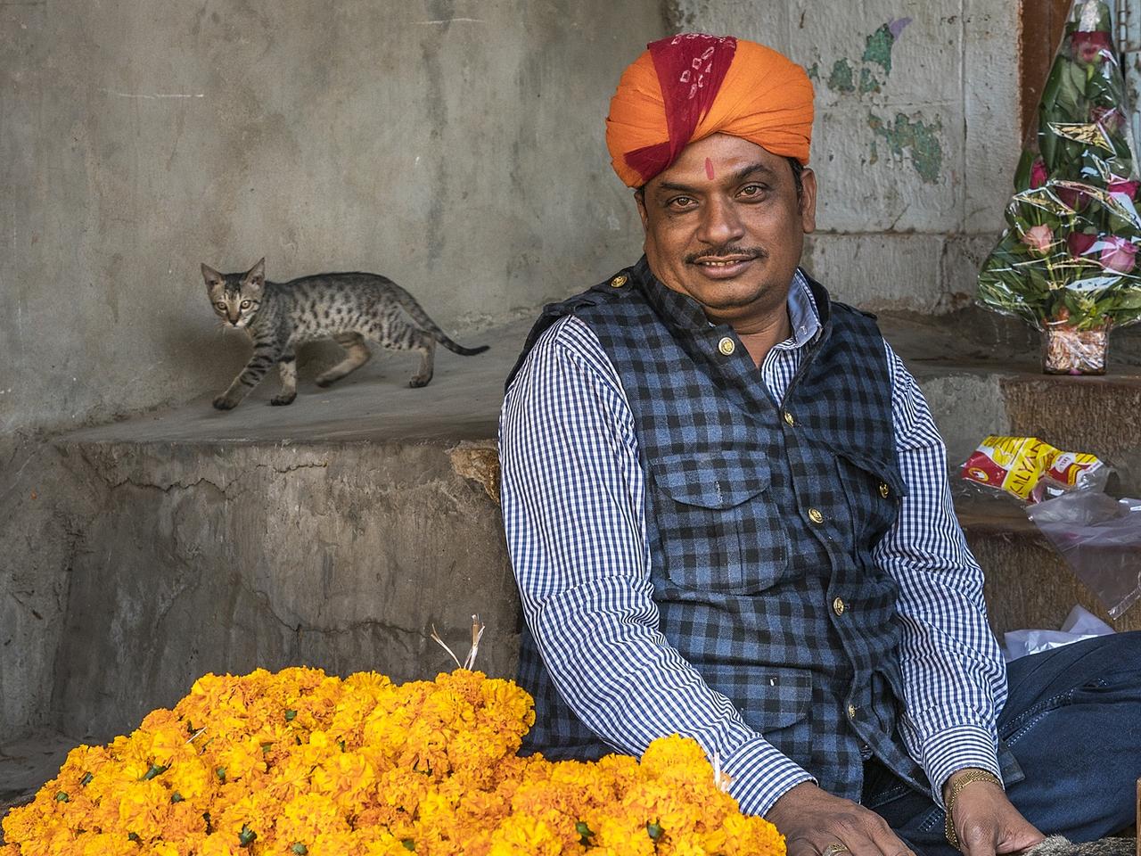Cat walks behind marigold vendor in market stall in Jaisalmer Fort.