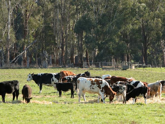Don Valley’s former dairy farm will be revegated to become a wildlife corridor.