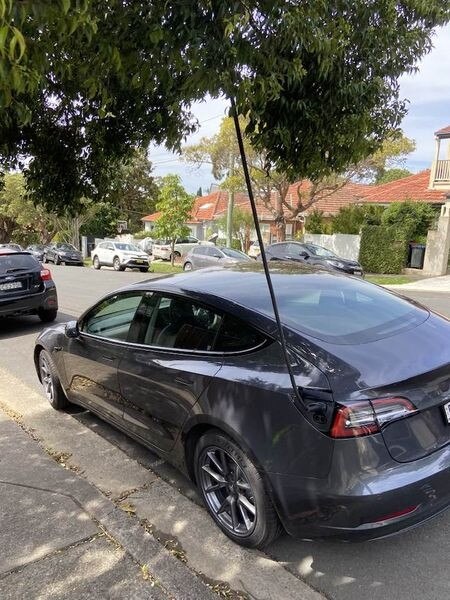 an electric vehicle through a tree in a Mosman street.