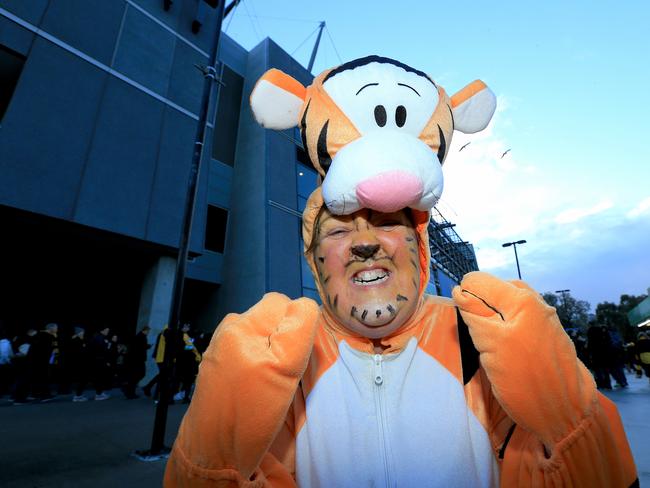 Lifelong Tigers fan Brenda Hilton. Picture: Mark Stewart