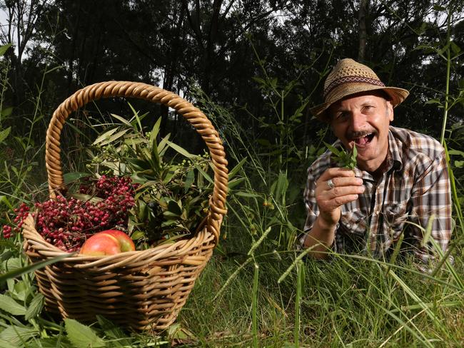 Diego Bonetto shows people how to forage for food in their own gardens. Picture: Robert Pozo