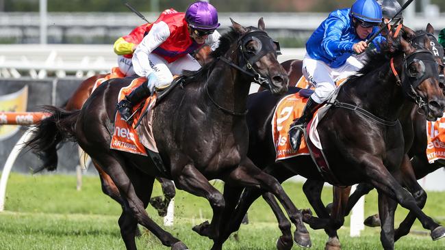 Artorius winning the 2021 Blue Diamond Stakes. Picture: George Salpigtidis-Racing Photos