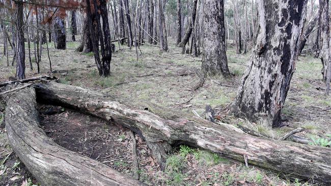 The site where Karen Ristevski's body was found at Mount Macedon. Picture: Nicole Garmston