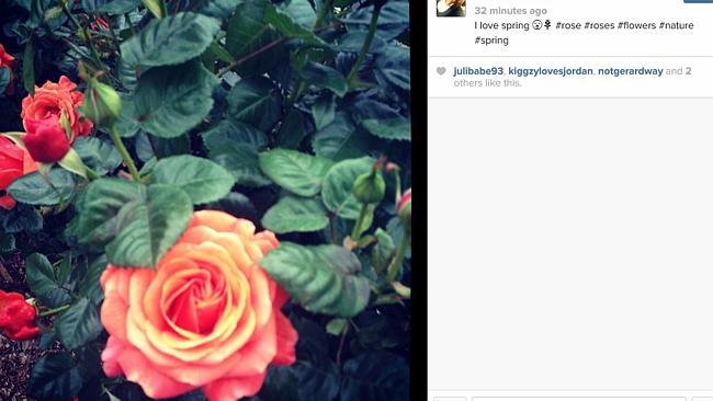 #SPRING: There was a lot of competition within the hashtag, but roses reign supreme.