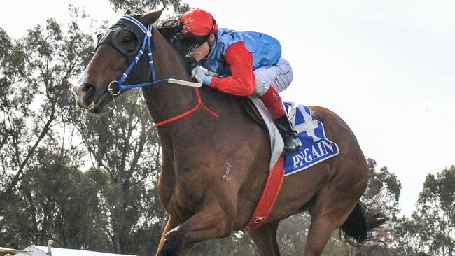 Admiral's Joker has strong form around Australian Cup winner Fifty Stars. Picture: Getty Images