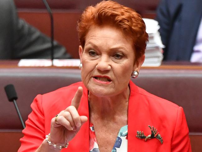 Hanson threatens ‘mayhem’ over vaccine mandates