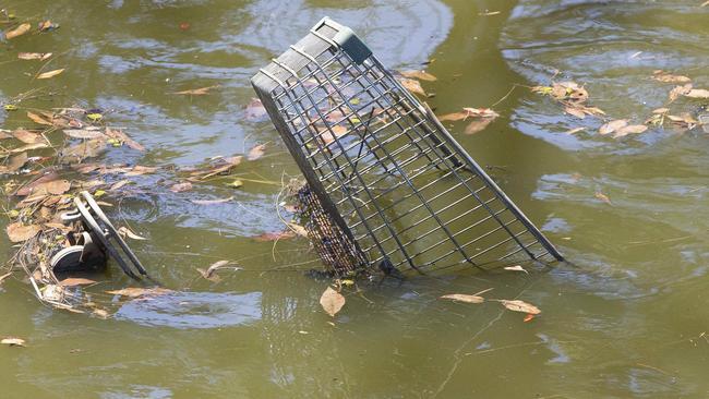 Even shopping trolleys are dumped in the Cooks River. Picture: Melvyn Knipe