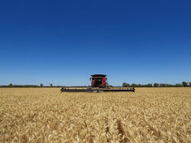 Bumper year: Another solid crop harvest is credited with helping ag on its way to $66 billion this year.