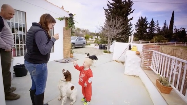 'How To Train Your Baby Like A Dog' promo