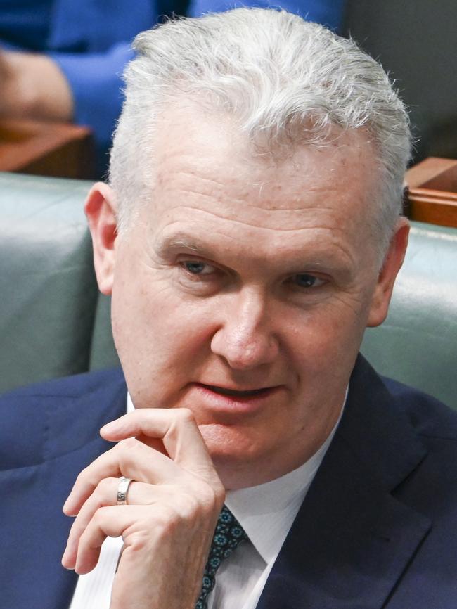 Tony Burke. Picture: Martin Ollman/NewsWire