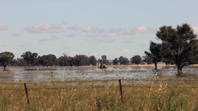 Water levels have risen south of Forbes, NSW. Picture: Gary Ramage