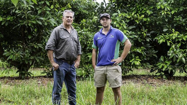 Queensland farmers Lachlan and Clay Donovan on one of their avocado farms. Picture: John Wilson