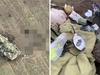 Piles of dead Russian troops, war loot found