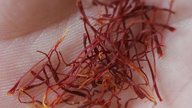 Saffron is the world's most expensive spice. Picture: News Limited.