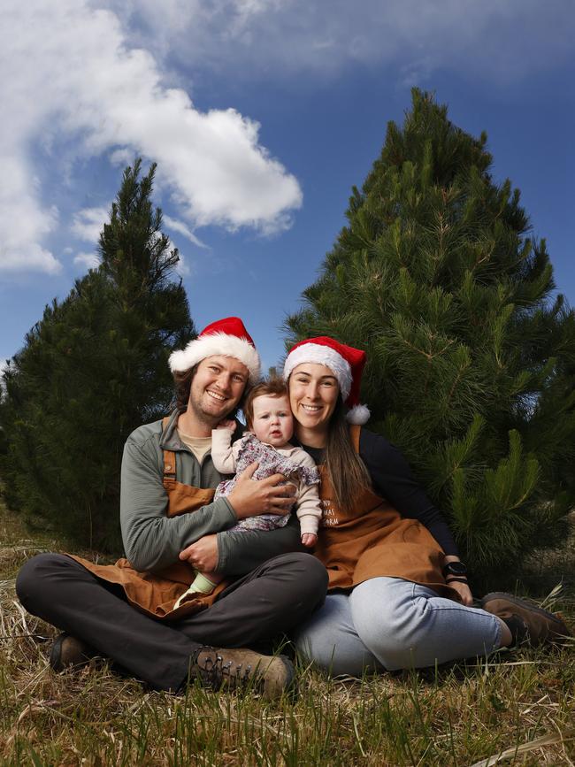 Christmas tree farmers Rohan and Jade Polanowski with daughter Zoe 9 months will celebrate their first Christmas as the owners of Richmond Christmas Tree Farm. Picture: Nikki Davis-Jones