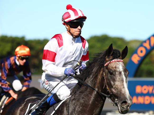 SYDNEY, AUSTRALIA - MARCH 09: Kerrin Mcevoy riding Celestial Legend wins Race 8 The Agency Randwick Guineas during "The Agency Randwick Guineas Day" -  Sydney Racing at Royal Randwick Racecourse on March 09, 2024 in Sydney, Australia. (Photo by Jeremy Ng/Getty Images)