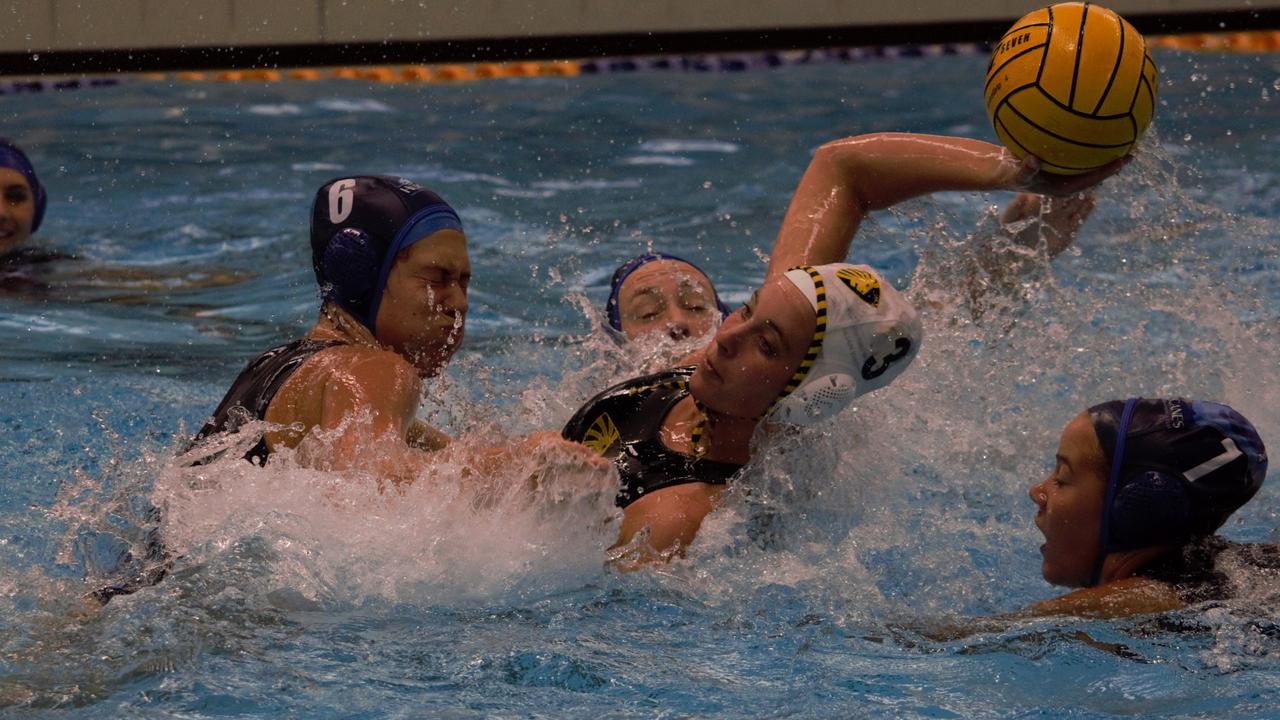 Water Polo live stream Favourites, clubs to watch in AWL Championship