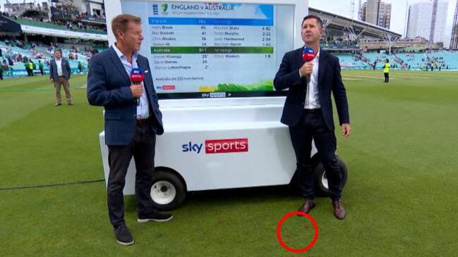 Rowdy fans 'pelt' Ponting with grapes at The Oval