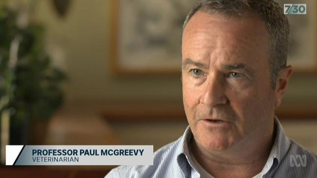 Professor Paul McGreevy appears on the 7.30 Report on Thursday night.