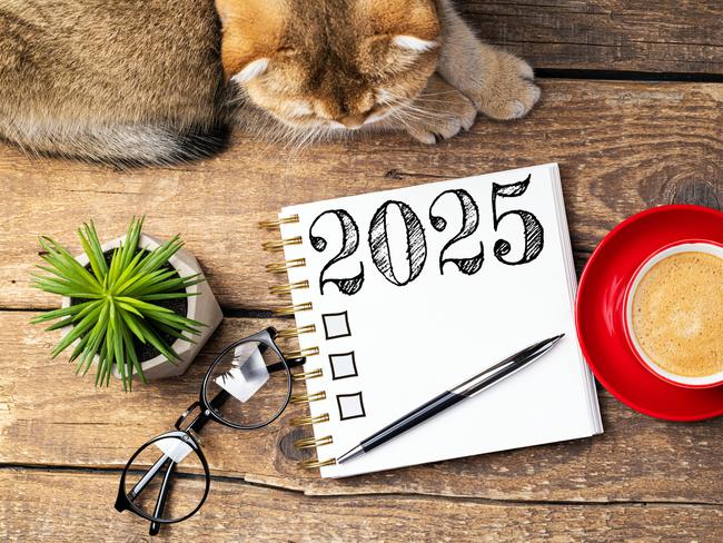 New year resolutions 2025 on desk. 2025 resolutions list with notebook, coffee cup, cute cat on table. Goals, resolutions, plan, cozy, hygge concept. New Year 2025 template, copy space