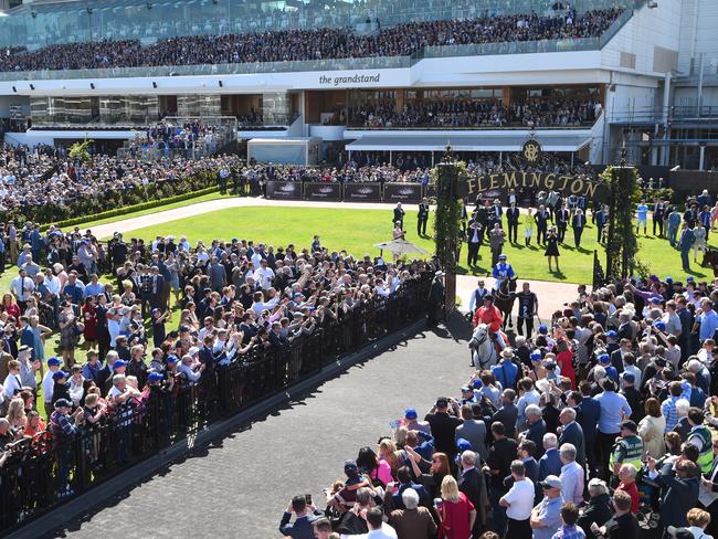 Full house: Winx’s appearance at Flemington proved a big hit with racegoers eager to get a glimpse of the champion. Picture: Getty Images