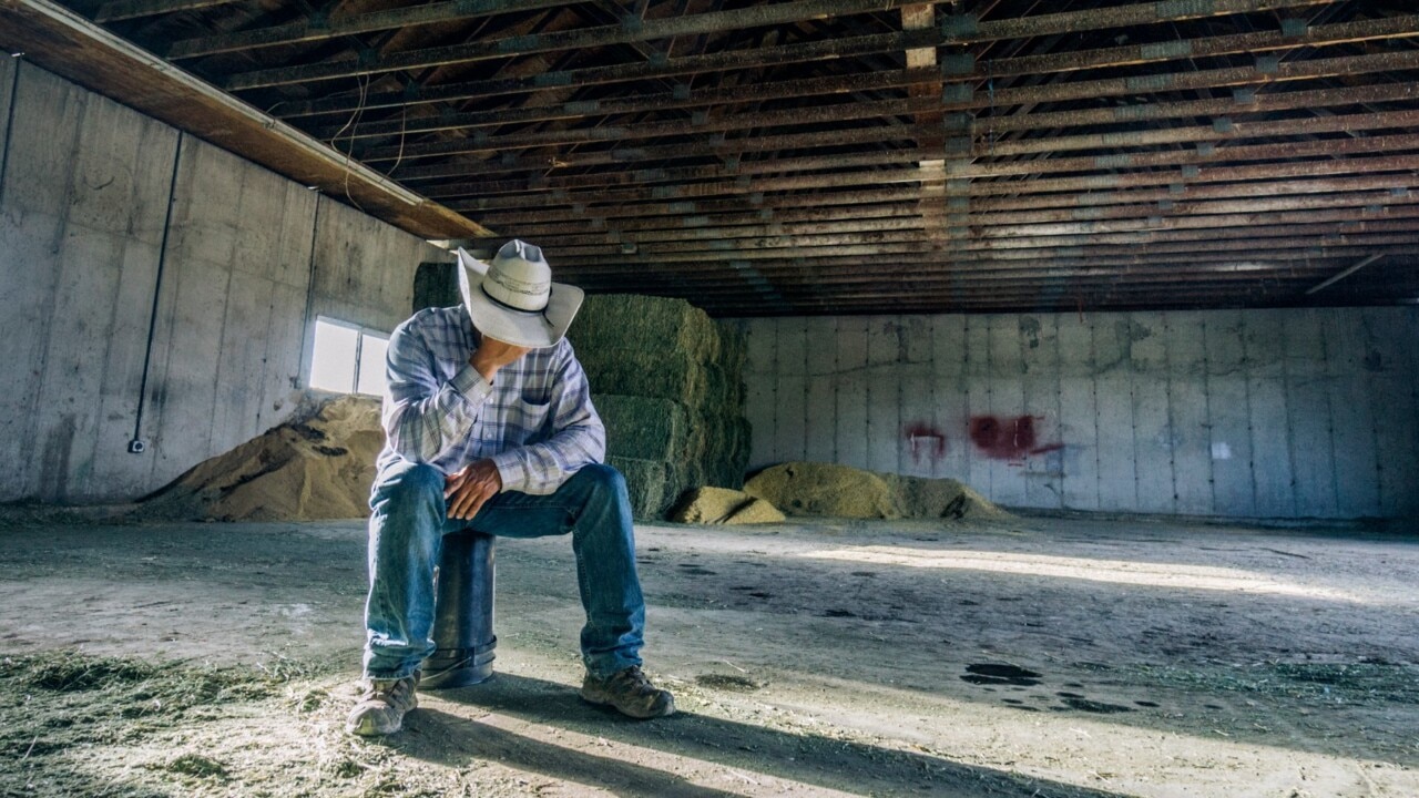 Changes needed to ensure rural and regional Australians gain access to 'timely' mental healthcare