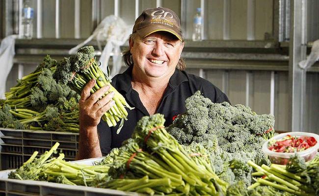 Farmer Tim Linnan at Maragi Farm, Lake Clarendon near Gatton, has had success farming broccolini. . Picture: Claudia Baxter