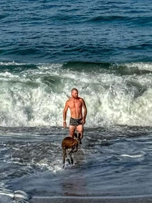 Man strips to rescue bewildered Kangaroo who got lost in turbulent waters at Port Noarlunga. Picture: Facebook